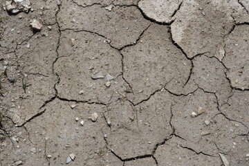 Close up view on cracked, arid, brown surface of soil with some small stones in Swiss town caused by hot summer.  Picture has copy space and can be used as background. 