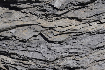 Layers of rock caught as close up view. Sedimentary rock known as flysch with abundant occurrence...