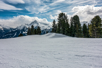 Tree lined ski piste with tracks 