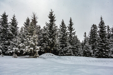 Road through Alpine scenery with snow