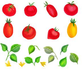 Watercolor set with vegetables. Transparent layer.