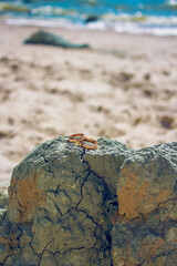 Traditional gold marriage rings on the blue clay background.
