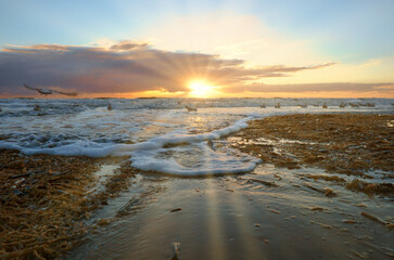 Fototapeta premium Sunset on the beach in Denmark. Waves rolling over the sand. Walk on the coast