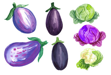 Watercolor set with vegetables. Transparent layer.