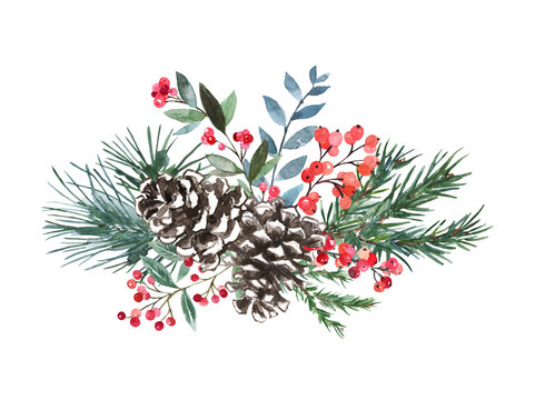 Winter floral arrangement. Watercolor Christmas bouquet. Pine cone, greenery branches, holly, red berry, foliage on white background. Botanical painting.