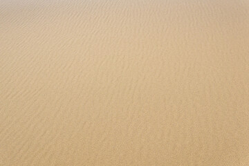 Fototapeta na wymiar natural background, sandy desert surface with dunes