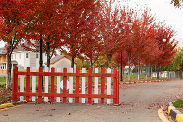 wooden fence on the road in the autumn village