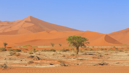 Amazing View from the dune to the salt pan of Sossusvlei, Namibia.