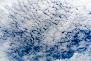 white clouds in the blue sky