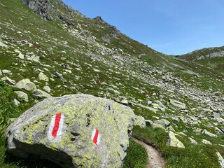 Hiking trails or mountaineering routes in the summer Swiss Alpine environment and in the St....