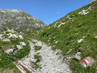 Hiking trails or mountaineering routes in the summer Swiss Alpine environment and in the St....