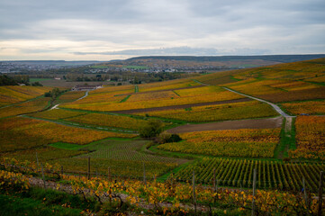 Fototapeta premium Panoramic autuimn view on champagne vineyards in village Hautvillers near Epernay, Champange, France