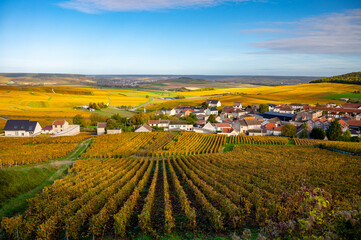 Colorful autumn landscape with yellow grand cru vineyards near Epernay, region Champagne, France....