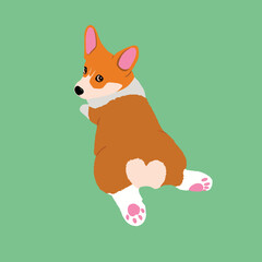 Lying corgi puppy isolated vector illustration. Cute corgi dog looking back with heart butt.