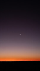 small moon at sunset ,vertical