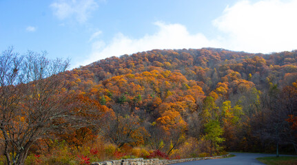 autumn landscape in the mountains