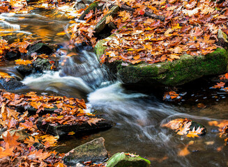 Fototapeta na wymiar water cascading in a brookat wendell state forest