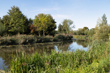 Winding little river; The Gein, surrounded by reeds, flows through the Dutch landscape near the rural village of Abcoude.