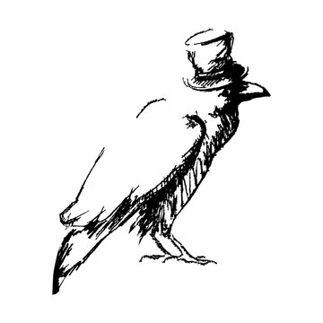 recommend clip art: Cartoon sketch of a funny black raven gentleman in a top hat