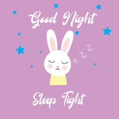 Fototapeta na wymiar good night card with bunny