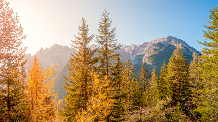 Magical Dolomite peaks at the national park Three Peaks, Tre Cime, in Autumn colors during sunset direct sunlight at blue sky, South Tyrol, Italy, golden season