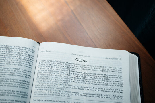 Libro de Oseas en la biblia