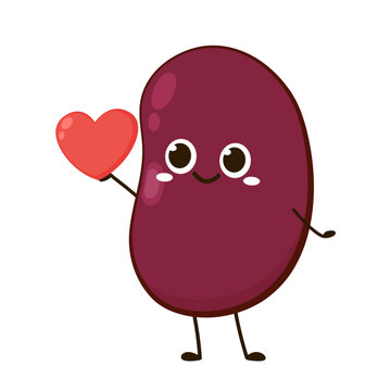 Kidney Bean Vector Images – Browse 6,526 Stock Photos, Vectors, and ...