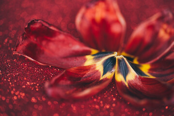 Leaves And Red Glitter Background, Red Tulip With Glitter Background