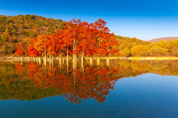 Lake Sukko autumn landscape