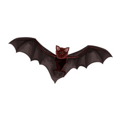 Bat PNG Format With Transparent Background