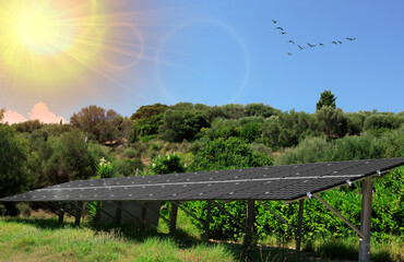 Black solar batteries in garden. Green garden with solar panels for solar energy, climate...