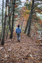 Fototapeta premium child walking in autumn forest