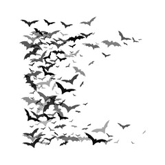 Bat PNG Format With Transparent Background