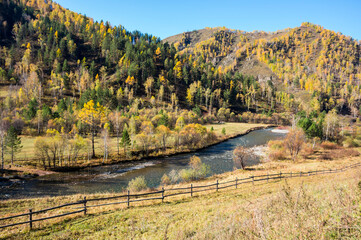 View of river in Altay mountains in the autumn