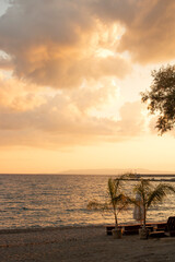 Beautiful beach at sunset. Palms and tree. Peaceful scenery with sunbeds, clouds and sunlight beams.