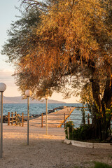 Stone pier at sunset in autumn with a beautiful tree in Kalamata