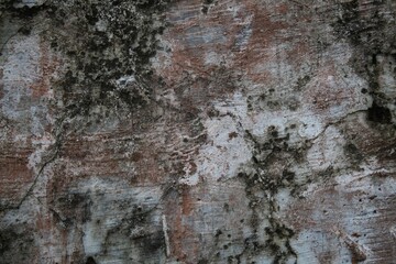 A weathered concrete wall with cracks and peeling paint, showing signs of age and decay.