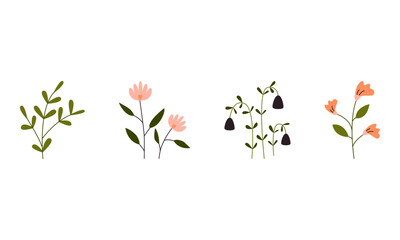 Botanical garden flowers simple vector illustration on white background for web banners mobile app social media