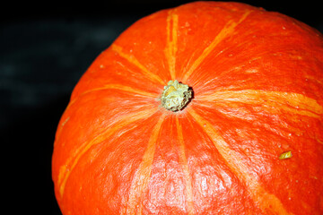 close-up of an orange pumpkin in autumn isolated on a black background, orange pumpkin for halloween and autumn decoration and cooking