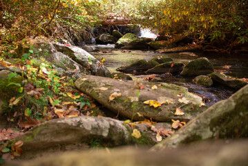 Creek in Autumn 