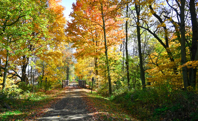 Beautiful autumn landscape, with colorful leaves at Dalton Park, Ohio