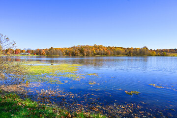autumnal foliage lake with beautiful colorful trees at the Silvercreek park, Ohio 