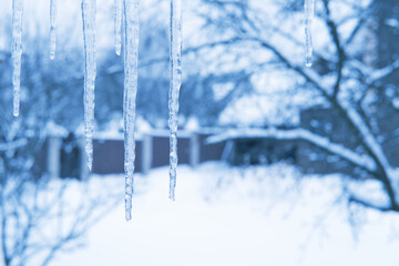 Icicles hanging from the roof. Cold winter season concept.