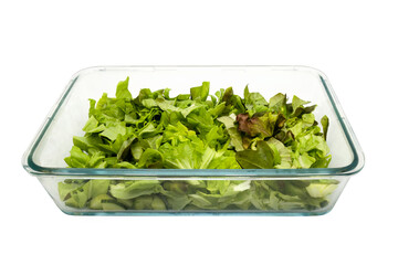 Green fresh salad leaves in glass baking tray. Isolated on white background with clipping path