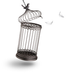Escaping from the cage