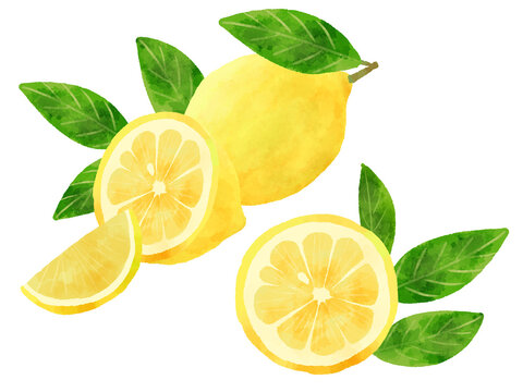 レモン素材 の画像 34 710 件の Stock 写真 ベクターおよびビデオ Adobe Stock