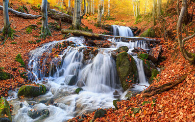 Autumn landscape - view of a mountain river with a cascade of waterfallsin the autumn forest, Carpathians, Ukraine