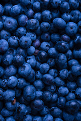 Fresh blueberry background. Texture blueberry berries close up.