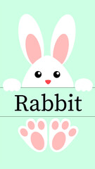 Rabbit