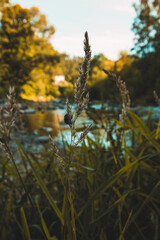 Draußen in der Natur